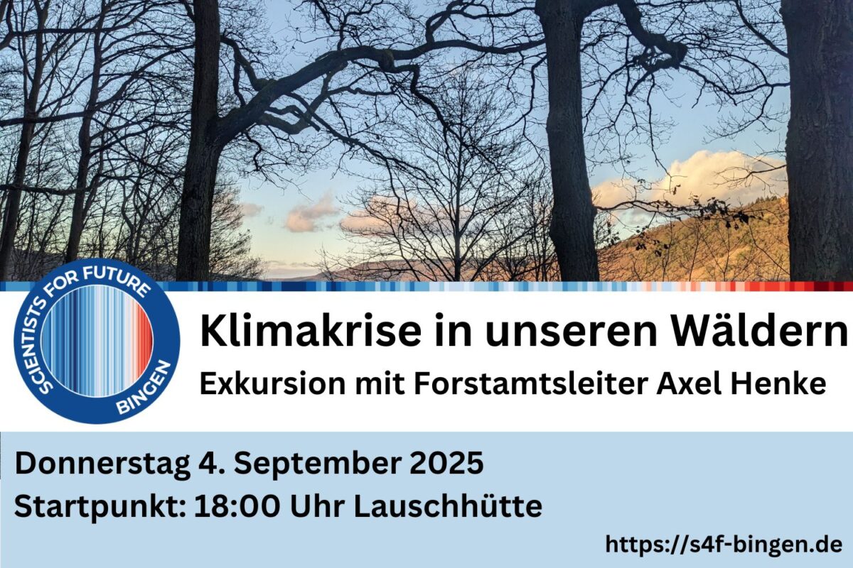 Klimakrise in unseren Wäldern – Exkursion mit Forstamtsleiter Axel Henke am 4. September